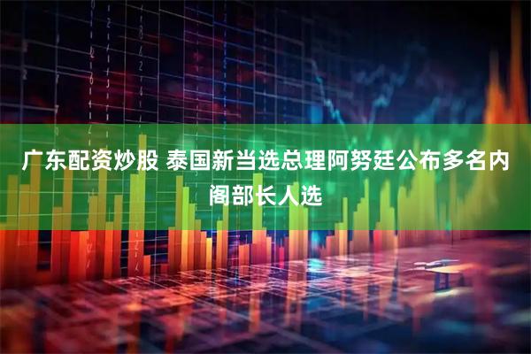 广东配资炒股 泰国新当选总理阿努廷公布多名内阁部长人选