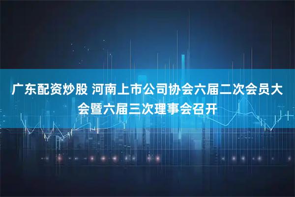 广东配资炒股 河南上市公司协会六届二次会员大会暨六届三次理事会召开